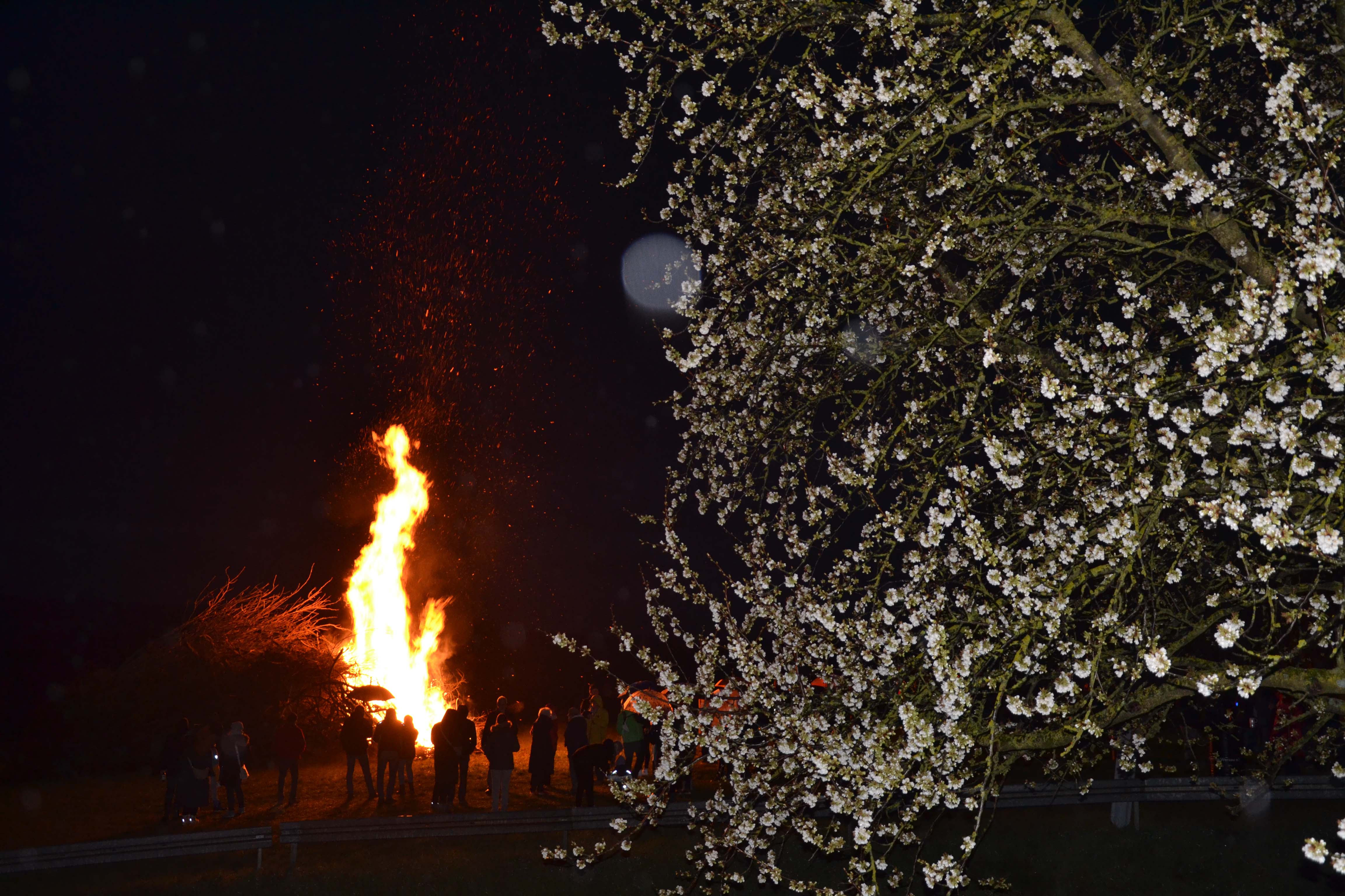 Larmfeuer 2026 79 Hippelsbach kl