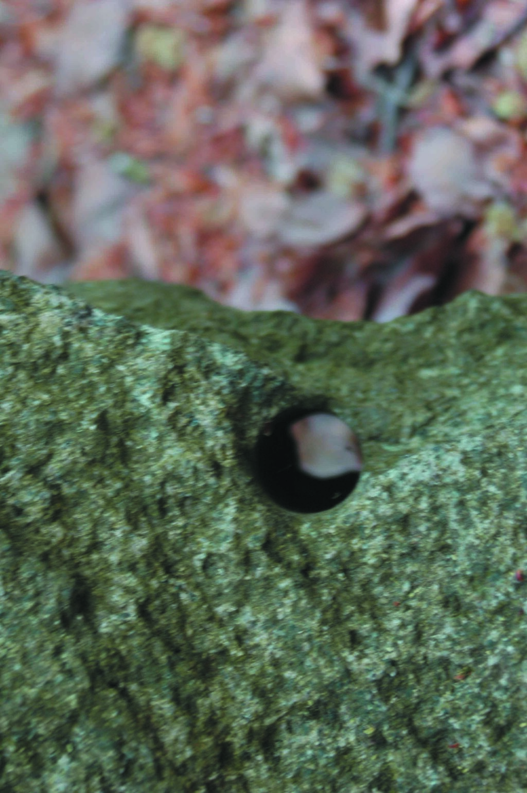 Bohrloch aus der Neuzeit, Marieta Hiller